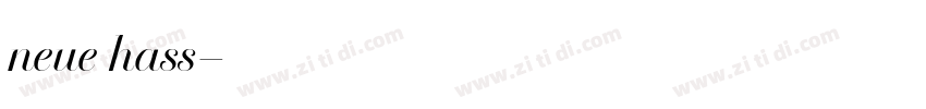 neue hass字体转换